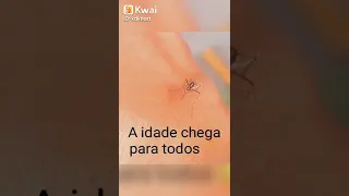 mosquito broxa