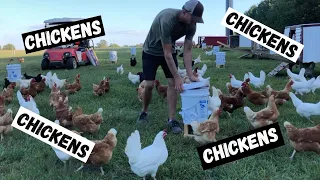 Life of a chicken farmer!