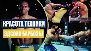 Красота техники Эдсона Барбозы - Edson Barboza