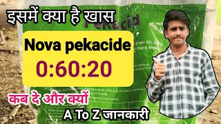 Nova pekacide। 00:60:20।npk 00:60:20। liquid fertilizer