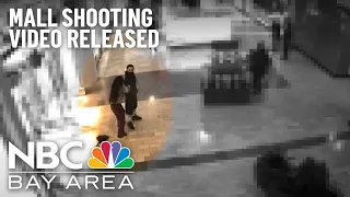 San Jose Mall Shooting: Suspected Shooter Arrested, Surveillance Footage Released