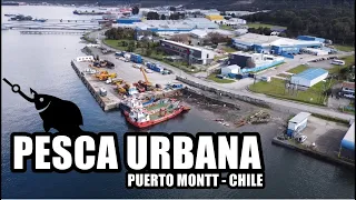 🎣Pesca UL de orilla en Puerto Montt | Pejerreyes | Nauto Aventuras.