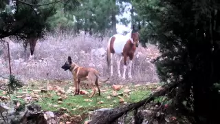 Природа и жизнь Если друг не смеётся....-подарю ему Солнце!!!