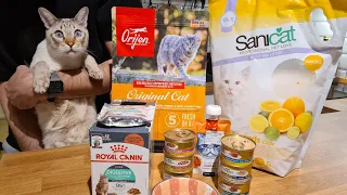 Pet Shopping HAUL | What we bought for our Lynx point Siamese cat - dry food, wet food, toys & more!