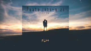 FRDM 💜 Poate intr-o zi 💜 (Audio Official)