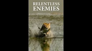 Relentless Enemies by Zach Wells (WPF PEAK 2017)