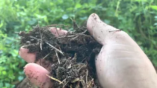 Biodynamic Natural Farming, Farming for better microbes with Static Pile Compost