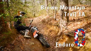 Brown Mt - Trai1 2 - 2022 Beta XTrainer Enduro Ride