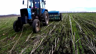 Карбамид+ Селитра - подкормка озимой пшеницы весной сеялкой в землю🤠 хочу Чудо результата