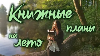 Что почитать летом: ведьмы, бабушки, тру-крайм📚