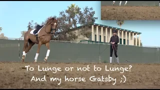 To lunge or not to lunge? And my horse Gatsby