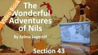 43 - The Wonderful Adventures of Nils by Selma Lagerlöf - The Parting with the Wild Geese