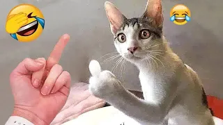 ❤️😅 Funniest Cats and Dogs 🤣🐶 Best Funny Animal Videos # 25