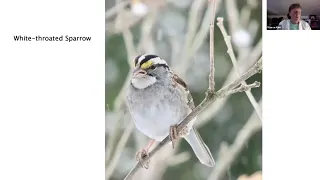 Let's Go Birding! - Birds on Vermont Land Trust Conserved Land