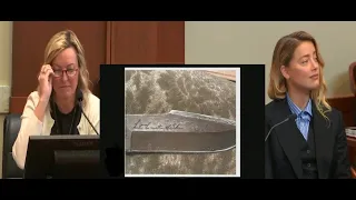 Dr. Dawn Hughes - Forensic Psychologist- Cross Examination (Full)