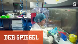 Viren-Labor oder Tier-Markt? Theorien zum Ursprung von SARS-CoV-2 | DER SPIEGEL