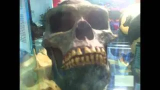 International Cryptozoology Museum tour, Via The Rogue Bigfootah