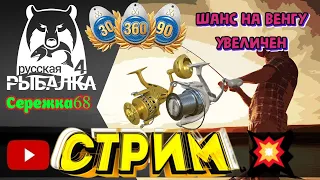 🔴 СТРИМ РР4┃🎁 РОЗЫГРЫШИ премов и золото┃🏆 ТУРНИРЫ┃👉Шанс на ВЕНГУ высок┃Сережка68