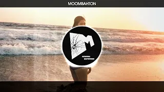 Top 10 Moombahton Drops (November 2022)