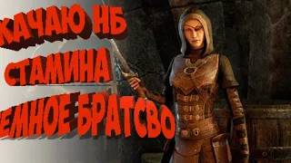 🔴The Elder Scrolls Online/TESO/ESO/Качаю НБ /Тёмное братство/Гильдия убийц