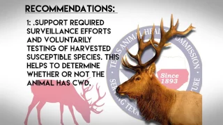 What Is Chronic Wasting Disease?