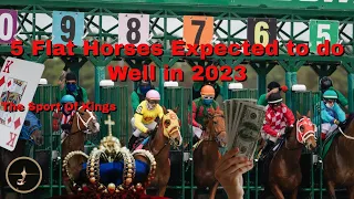 5 Flat Horses Expected to do Well in 2023