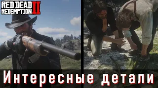 Топ 20 интересных деталей в миссиях/открытом мире в Red Dead Redemption 2