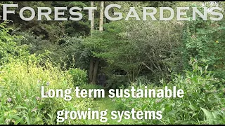 Martin Crawford : A.R.T forest garden