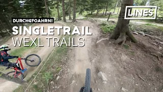 Singletrail - Wexl Trails | LINES