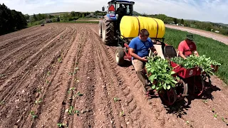 USING THIS SPECIAL PLANTER ON OUR VEGETABLE FARM