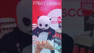 kungfu panda mascot dance