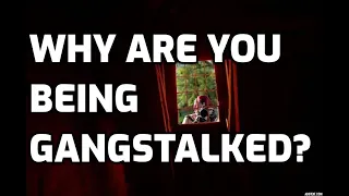 Why Are You Being Gangstalked?