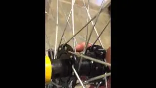 Trike bike ( rear wheel assembly )