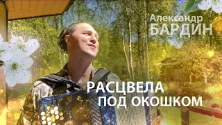 ВЫШЕЛ БАРДИН НА КРЫЛЬЦО....- Расцвела под окошком / Александр Бардин