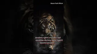 KATA-KATA BIJAK MACAN PUTIH DAN MACAN LORENG