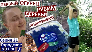 21 серия / Первый огурец! / Жимолость / как подвязать огурцы и помидоры / Настя на море / наш вечер