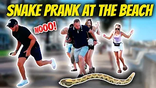 That Snake was so Terrifying: Everyone Started Running|: SNAKE PRANK | Kimoo Pranks