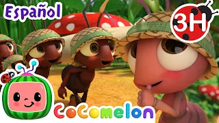 La marcha de las hormigas🐜 | CoComelon y los animales 🍉| Caricaturas para niños | Español Latino