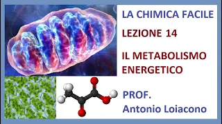 LA CHIMICA FACILE - Lezione 14 - Il Metabolismo Energetico