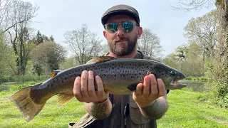 Cooking Fish on a Plank of Wood | Fly Fishing Catch & Cook