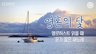 엘로히스트 읽을 때 듣기 좋은 새노래 #2│2024