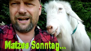 Matzes Sonntag - Von heute an VEGAN!