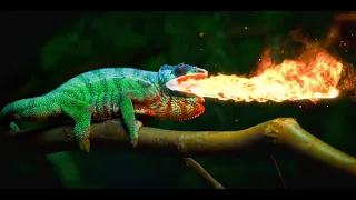 Dolby demo: Chameleon • 4K ᴮˡᵘ⁻ʳᵃʸ ʳᵉᵐᵘˣ, 𝗗𝗼𝗹𝗯𝘆 𝗩𝗶𝘀𝗶𝗼𝗻, 𝗗𝗼𝗹𝗯𝘆 𝗔𝘁𝗺𝗼𝘀