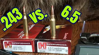 6.5 Creedmoor vs. 243 Winchester