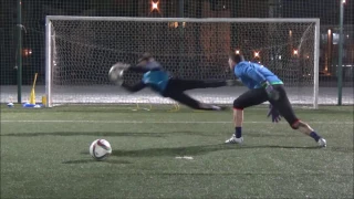 Goalkeepers Training / "Dinamo" (2nd Russian Division) 28/02/2017.