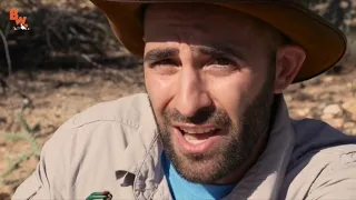 Coyote Peterson in pain for 6 minutes straight