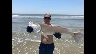 Food Chain Fishing Challenge- Tiny fish to Monster Fish