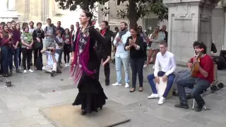 Flamenco dance (4) in Granada 2015