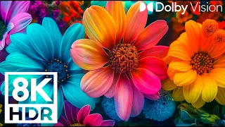 Beautiful spring flowers - 8K relaxing space of flowers - ️🎹Soothing relaxing piano music