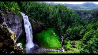 Spring mountain forest. Relaxing birdsong for relaxation, meditation & sleep - Stream Nature Sounds